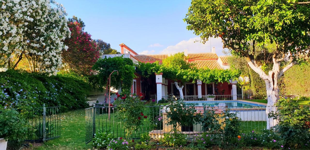 Cortijo El Triguero N-398 Ctra Carmona - El Viso Del Alcor Km 18 Villa Kültér fotó