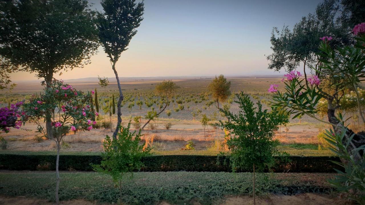 Cortijo El Triguero N-398 Ctra Carmona - El Viso Del Alcor Km 18 Villa Kültér fotó